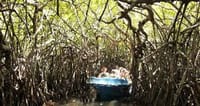 03 Day Tour From  Colombo ( Without Accommodation)  3