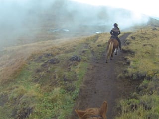Into The Hot Spring Valley - Horseback ride & bathe (small groups guarantee) - Reykjadalur, photo 10