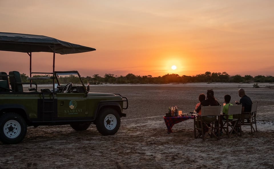 Nyerere National Park 2-Day Safari with Game Drives and Boat Safaris from Zanzib