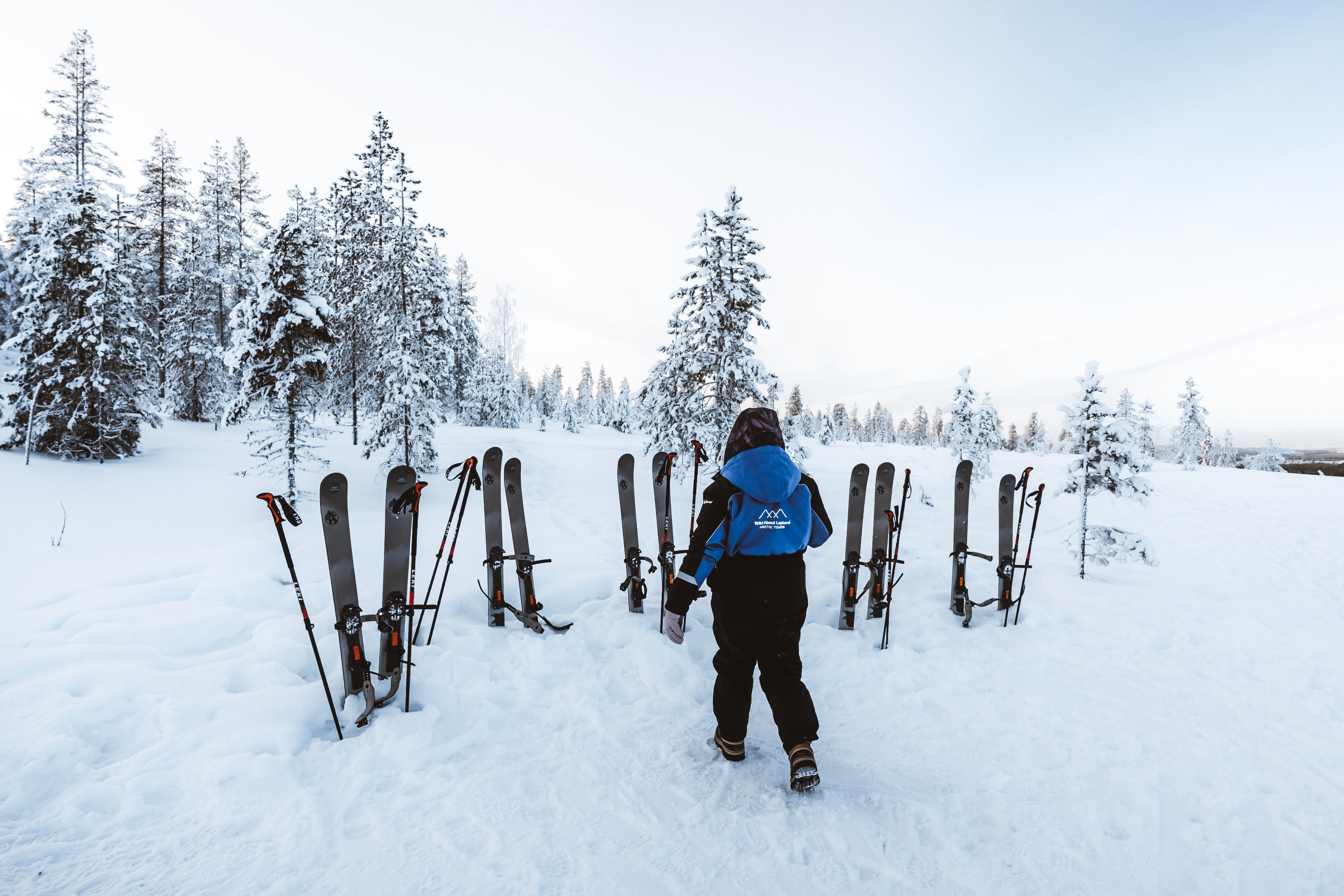 Ski Trekking Experience in Lapland