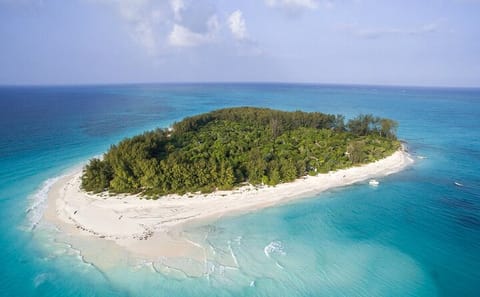 Zanzibar: Half-day Snorkeling Experience at Mnemba Coral Gardens