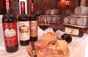 Vineyard Walk & Wine Tasting in the Berici Hills of Vicenza