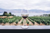 Wine tasting tour 5