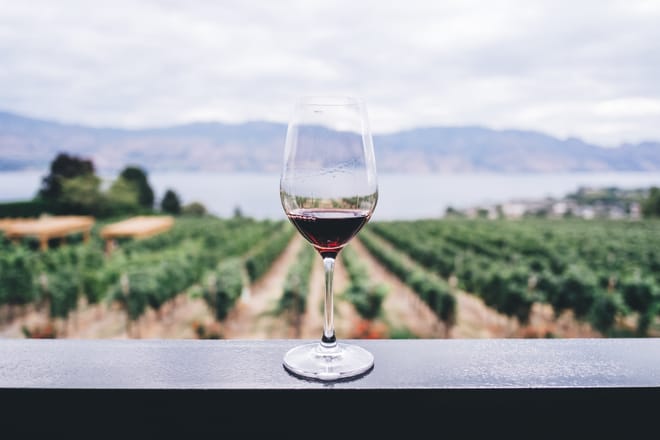 Wine tasting tour 5