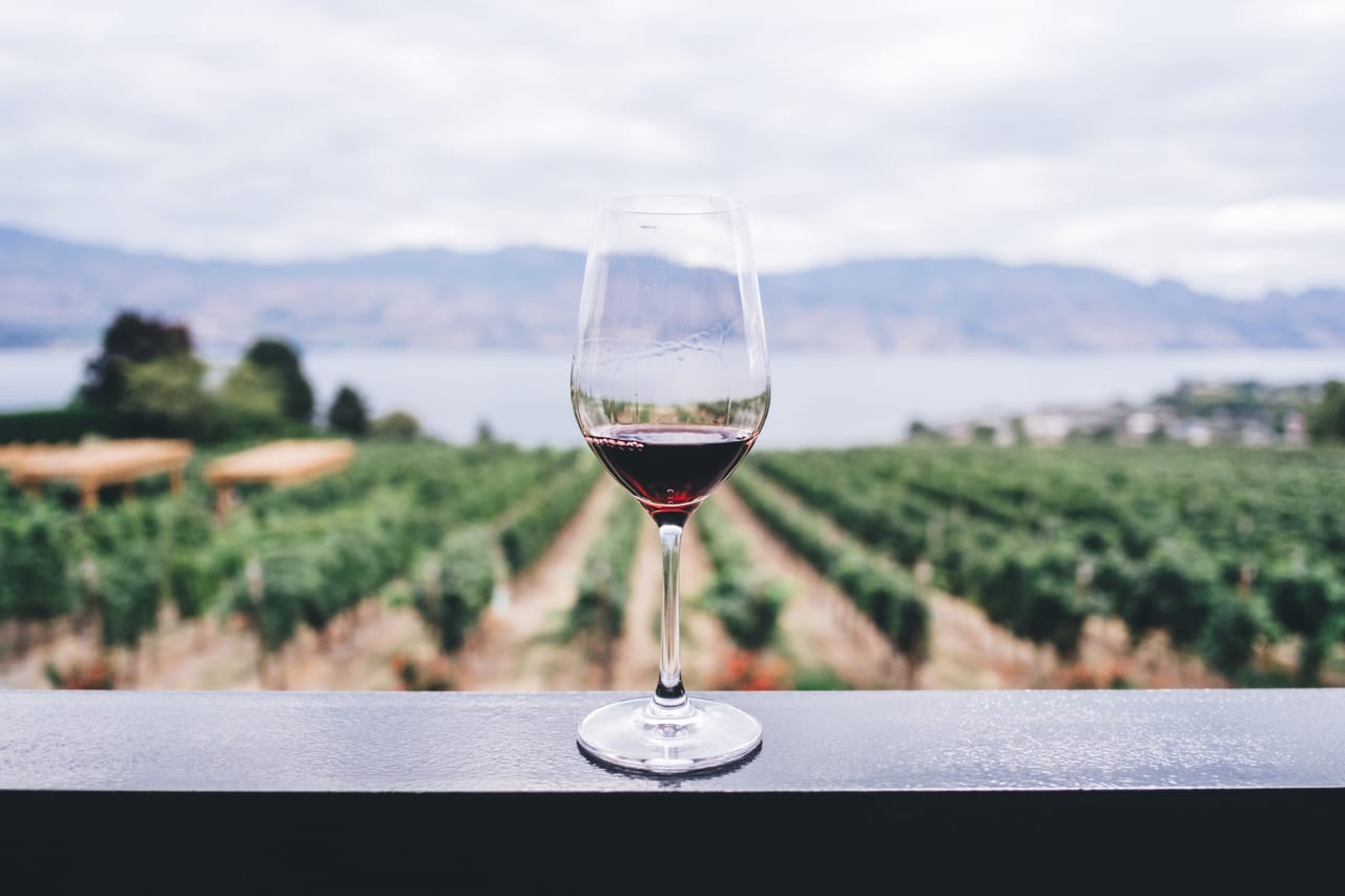 Wine tasting tour 5