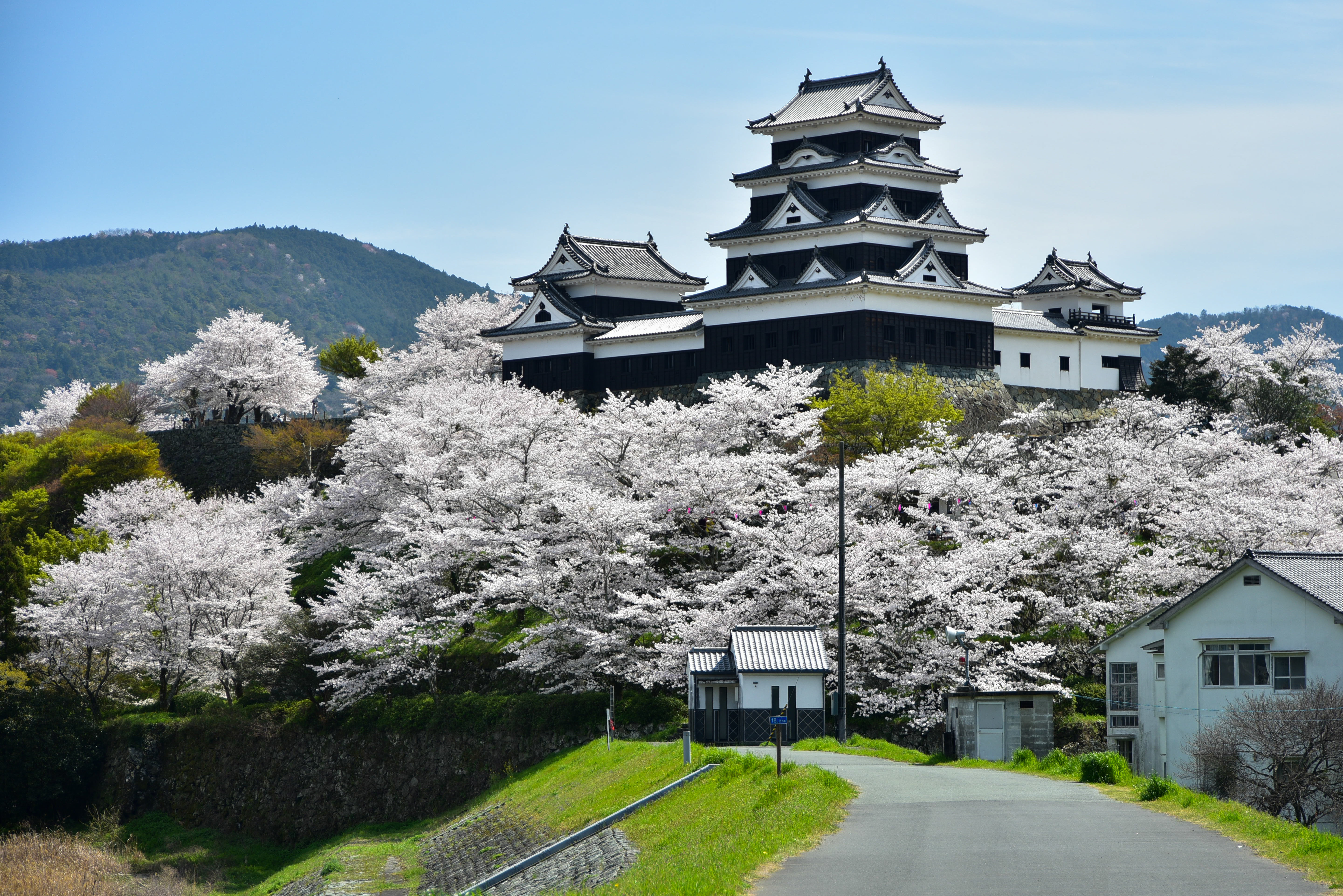 Ozu Custom Day Tour