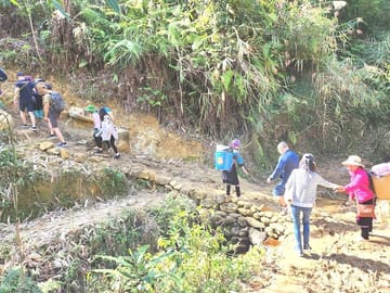 1 Day Trekking Tour through Rice Terraced Fields from Sapa Town