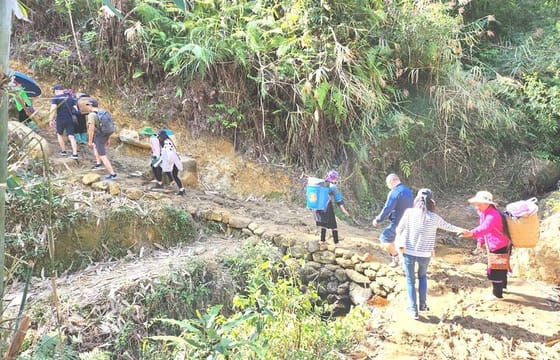 1 Day Trekking Tour through Rice Terraced Fields from Sapa Town