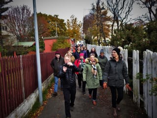 Funky Iceland Reykjavik walking tour group