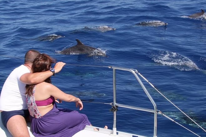 Amazing Skywalk, Cliff & Valleys in Open Roof 4x4 Tour + Dolphins Watching
