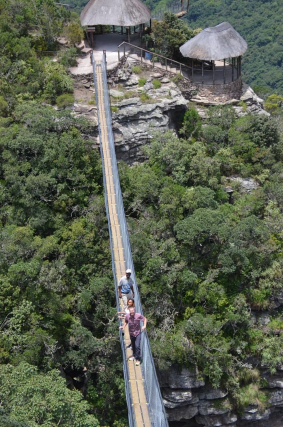 Oribi Gorge and Eland  Day Tour  3