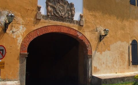 Cycling Tour of Paddy Fields and Villages in Galle