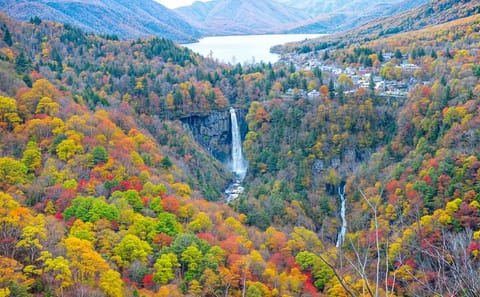 Nikko World Heritage Full Day Trip