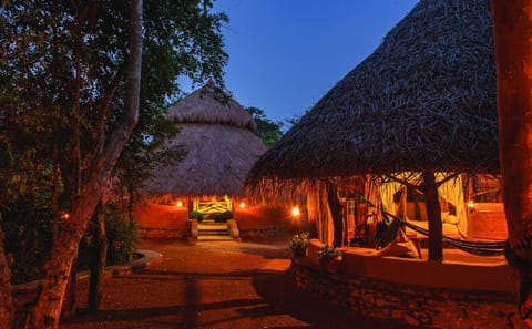 Explore Sri Lanka's Nature and Adventure in 8 Days