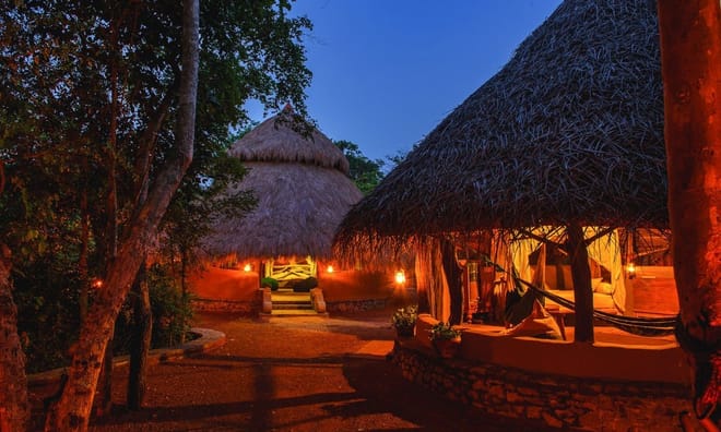 Discover of the Nature in Sri Lanka (07 nights & 08 days) photo 4