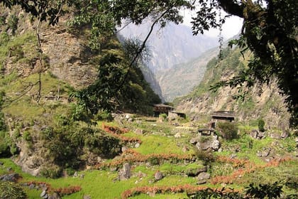 Kids Friendly Lower Annapurna Royal Trek