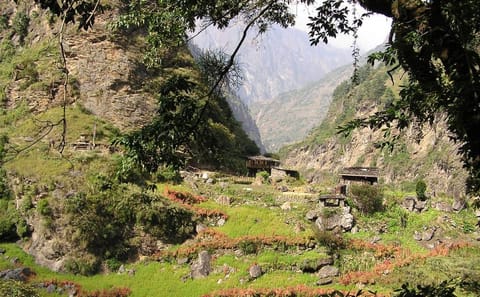 Family-Friendly Lower Annapurna Royal Trek in Kaski