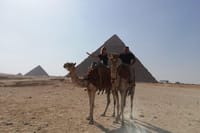 Pyramids tour with camel ride