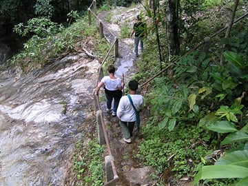 Trail walk