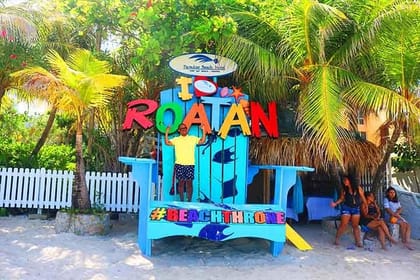 Roatan AJ’s Sloths, Monkeys Eco Encounter, City Tour, Beach Break & Transfer