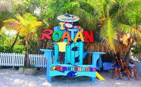 Roatan Eco Encounter with Sloths, Monkeys, and City Tour