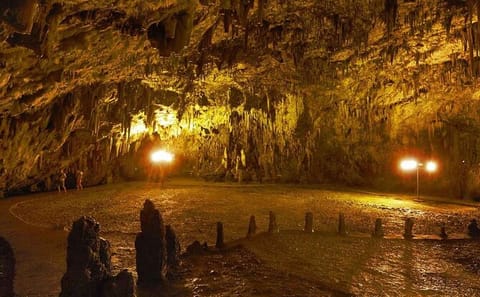 Half Day Tour of Melissani Lake and Drogarati Cave in Kefalonia