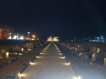 New adventurer to the Red Sea and the Valley of the Nile