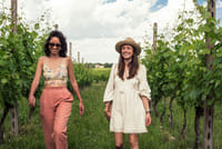 Tasting 6 wines exclusive to Azienda Giovanna Tantini 2
