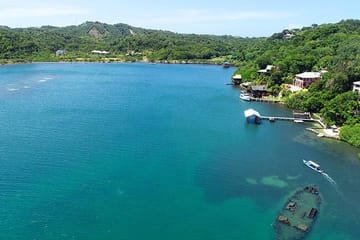 Roatan Mangrove Tunnel Cultural Tour from Jonesville