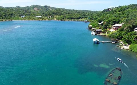 Roatan Mangrove Tunnel Cultural Tour from Jonesville