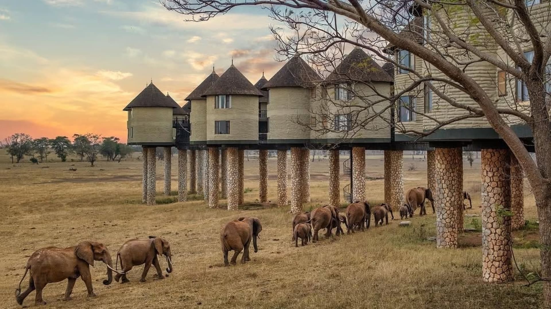 sight-elephants-below-your-hotel-room-Salt lick-red-elephants-luxury-safari