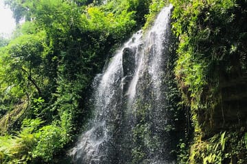 Private Full-Day Nature and Culture Tour in Ubud