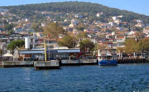 Princes' Islands Day Tour from Istanbul with Lunch Included
