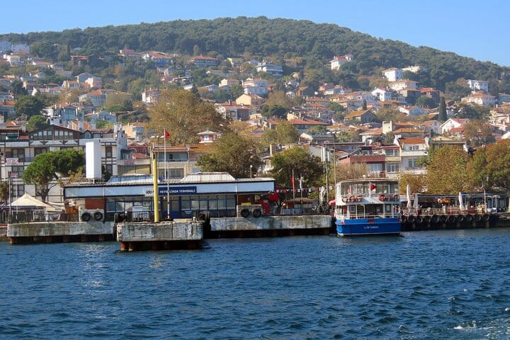 Istanbul: Princes’ Islands Tour with Lunch and Transfers 3
