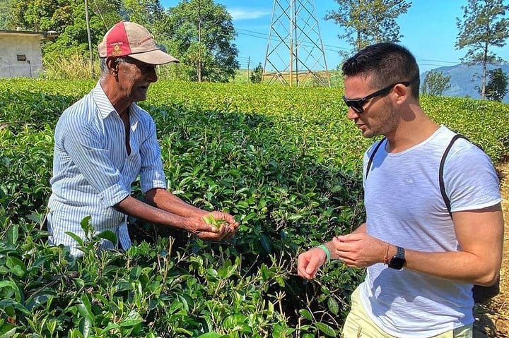 4 Days Tour to Kandy, Sigiriya & Nuwara Eliya