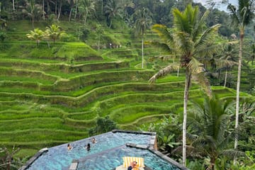 Morning Trekking Experience at Campuhan Ridge, Ubud