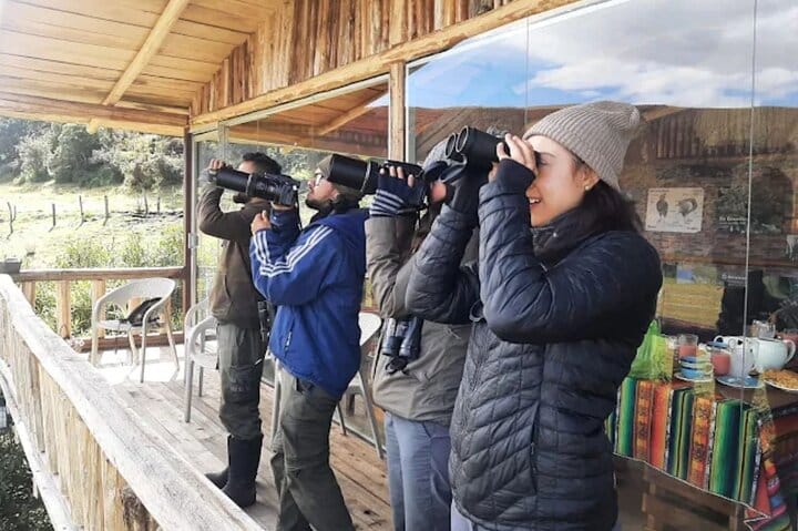 privated tour Antisana Volcano and Bird watching for begginers