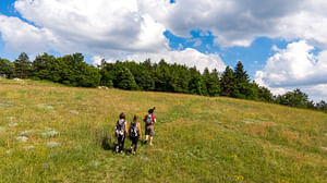 Hiking to the summit of Monte Cetona