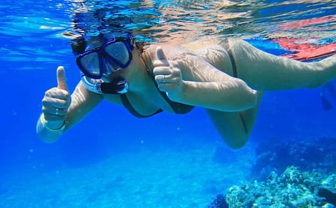 Snorkeling Day Trip to Tiran Island from Sharm El Sheikh