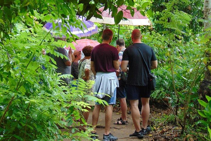 Full-Day Private Tour in Zanzibar with Cooking Class