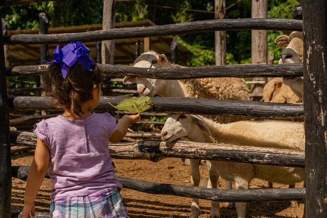 La Hacienda Outdoor Adventure 7