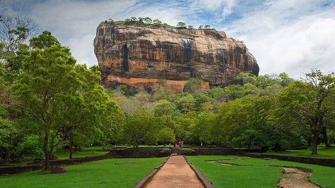  From Dambulla: Sigiriya & Minneriya Safari Tour 6