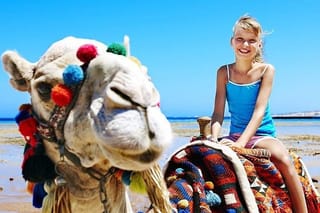 Camel Trekking in Abu Dhabi