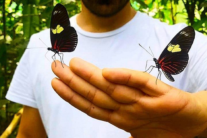 Pilpintuwasi Butterfly Farm & Iquitos River Adventure Tour