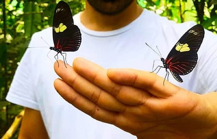 Iquitos Butterfly Farm and Kukama Community Tour