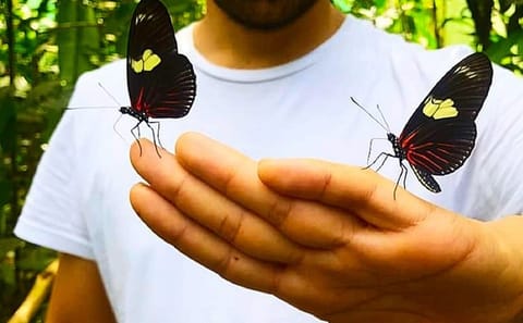 Iquitos Butterfly Farm and Kukama Community Tour