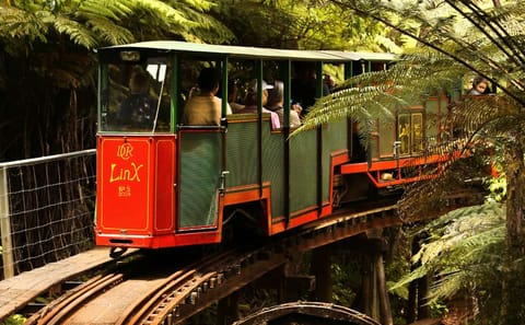 Coromandel Day Tour: Cathedral Cove and Driving Creek Railway