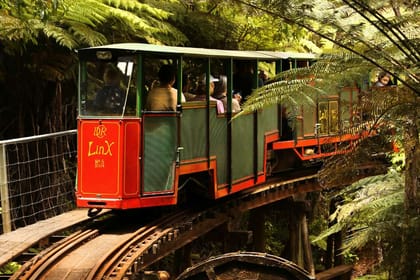 Coromandel Day Tour: Cathedral Cove and Driving Creek Railway