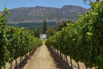 Cape Town and Garden Route