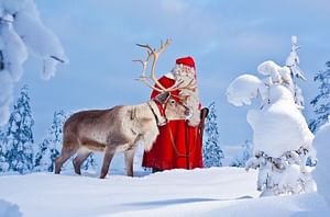 Highlights of Rovaniemi Day Tour